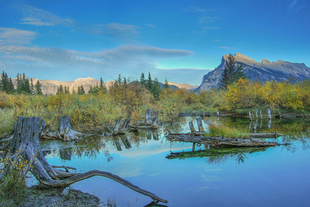 
							Sulphur Mountain