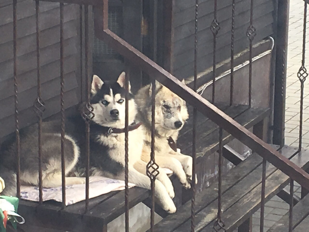 IMG-7bf2ba5862eb7928b3c5a9ceb38fe24f-V