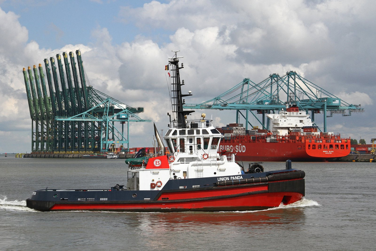 red-union-panda-antwerp.jpg