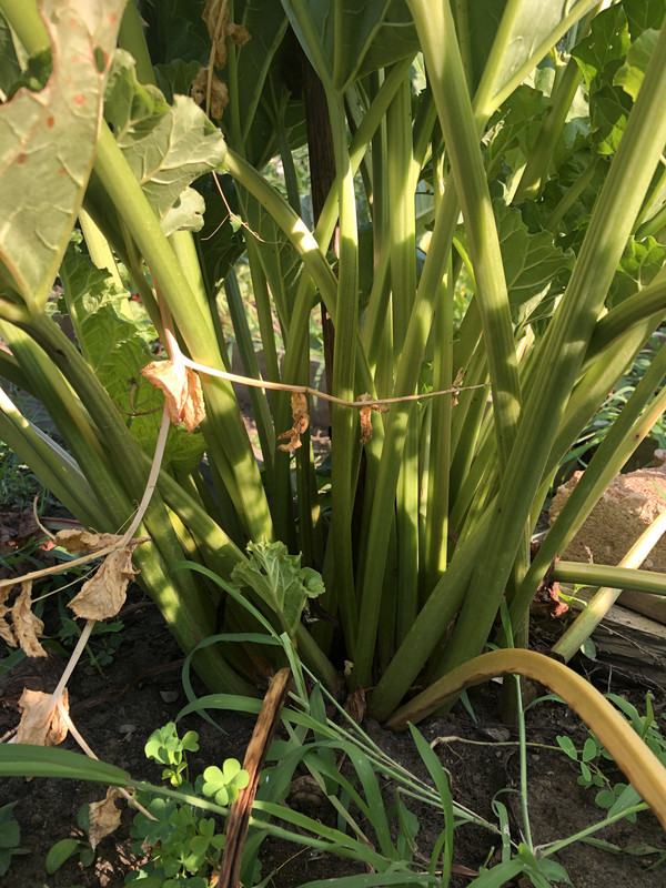 F6522080-6A75-430B-A379-382D9F124ECA