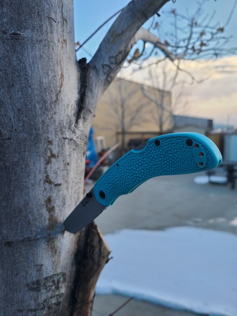 20210219-073027.jpg