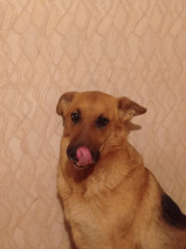 IMG-44e2d10155085c48a494c102a5d0e260-V