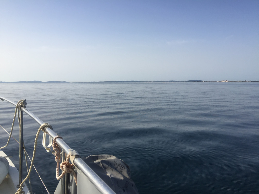 5CE61345-633F-4F41-A511-297617DDBFCE