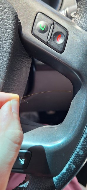 Screenshot_20240429_163056_Photos