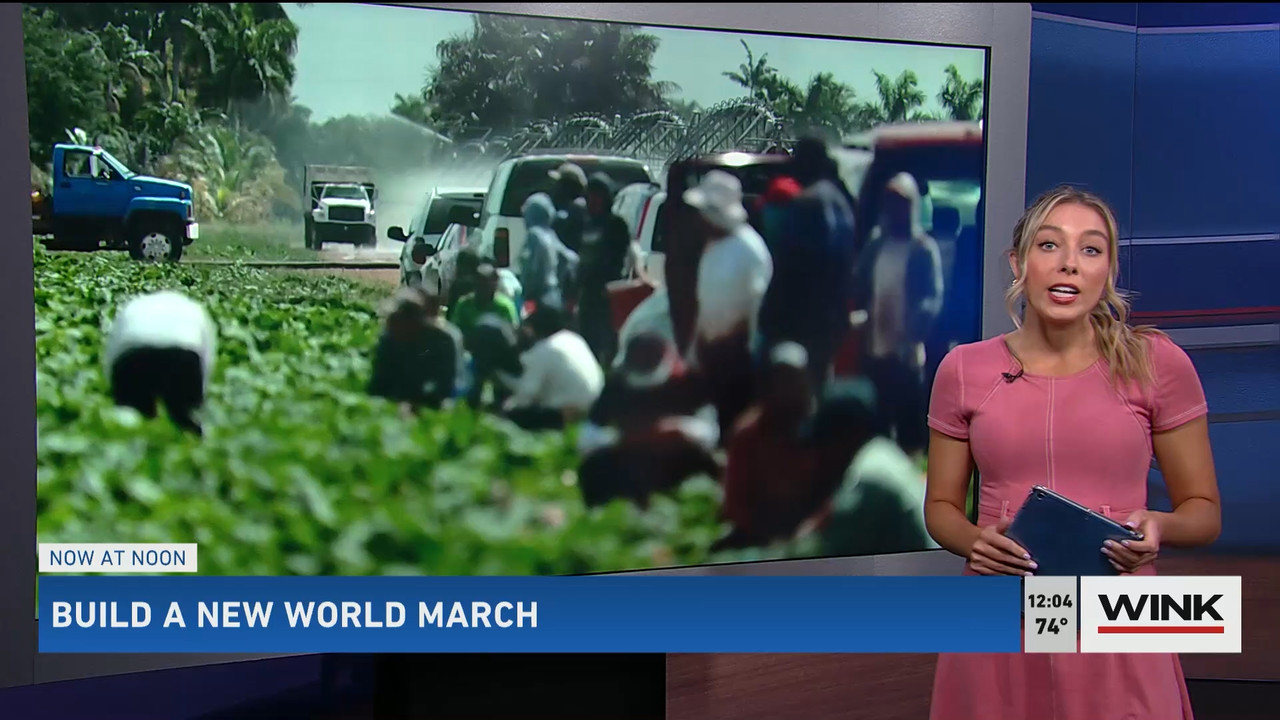 03.14 - 16.00.00 - The WINK Noon News  ᴺᵉʷ. Midday news update..ts_snapshot_10.42.067