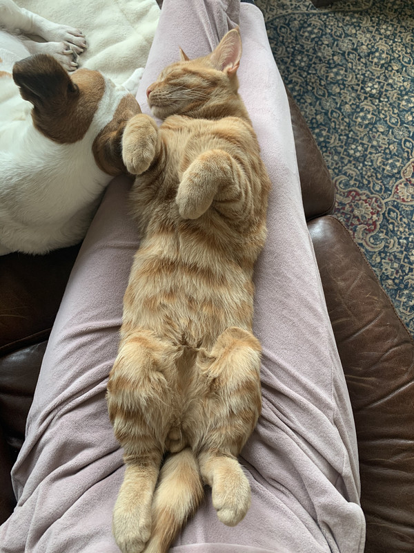 332CBD10-B534-4E0C-86DB-BAD2C13D90A0