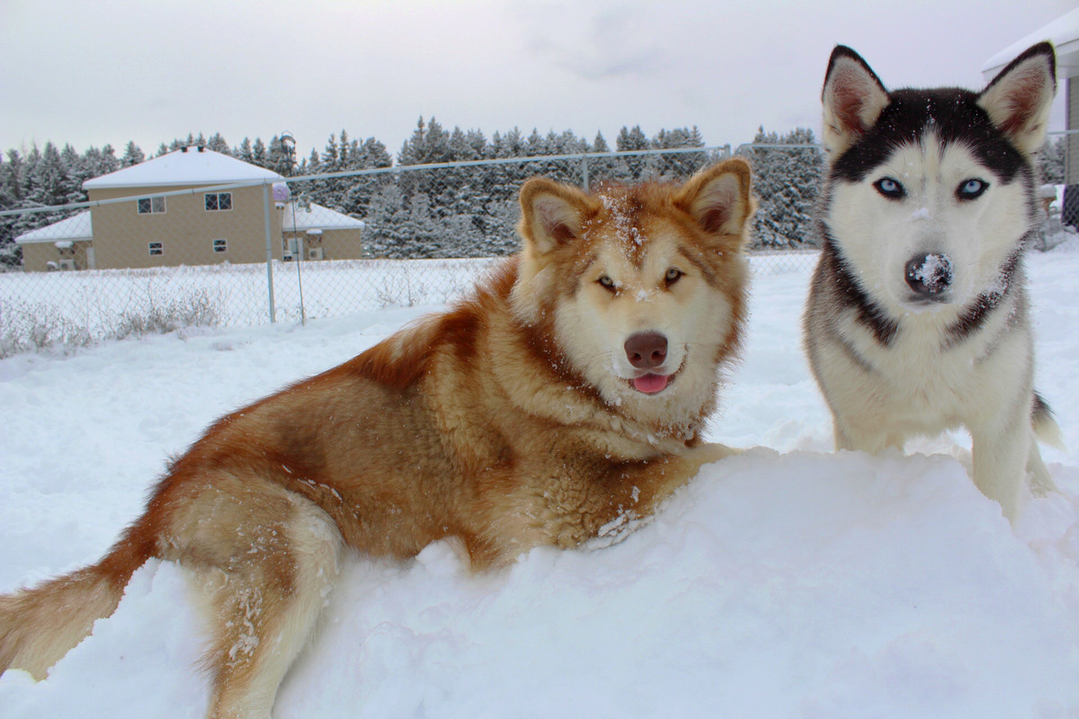 0A9D68AE-CFEB-4C81-B2C8-B814DB4514B8