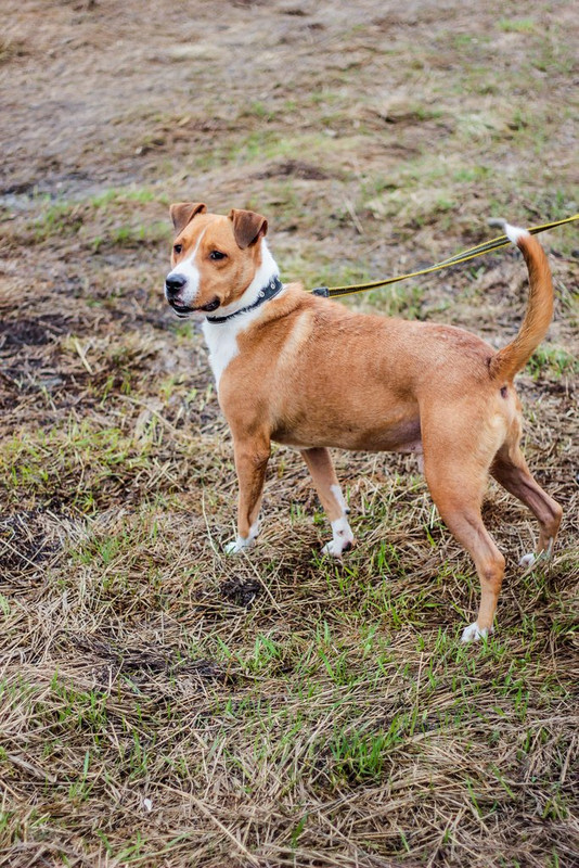 без имени-1196