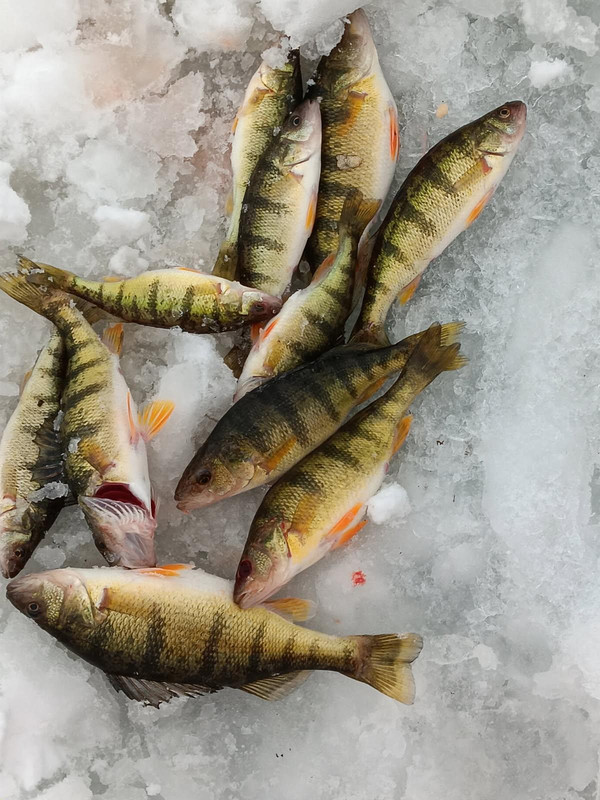 3410A408 9304 4219 AF7C B42FF9C6F5ED