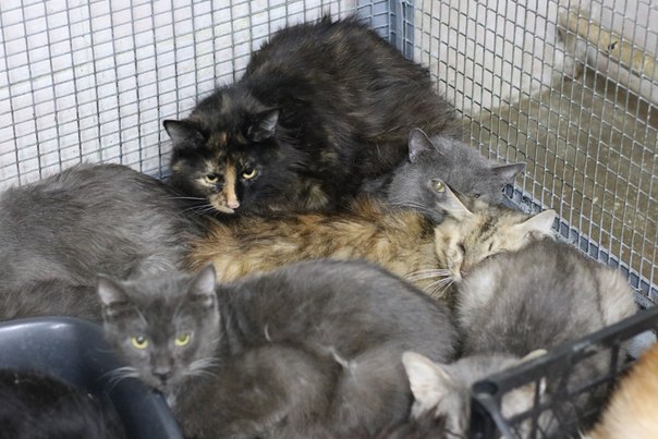 0E295E0D-CF1F-46F1-A003-243AAB0829CF