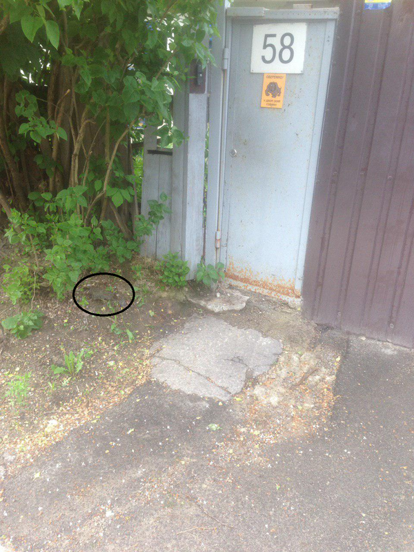 Безымянный