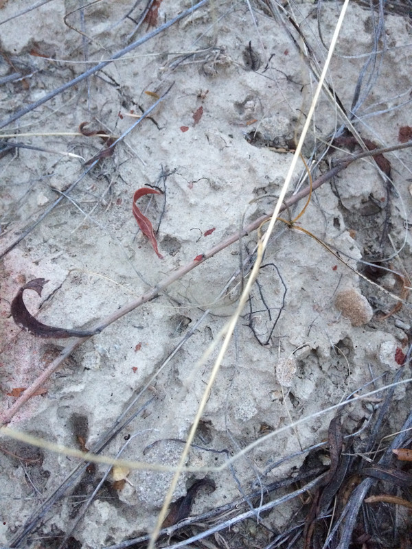 A9A27501-9DD6-48DA-973C-5BFCA0AFCAE0