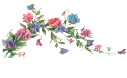 floresita