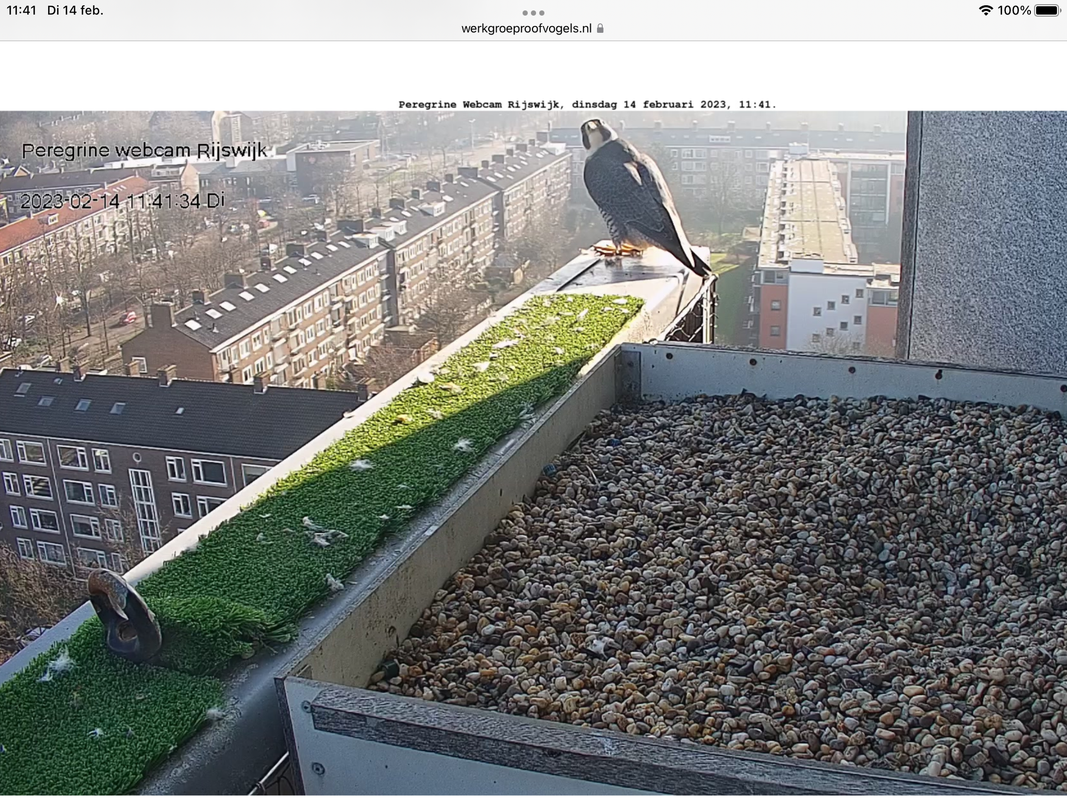 51C36F32-5833-4142-BF82-C3EC6C87E6B2