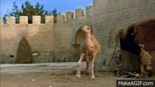 455-DF899-7-B0-C-4289-B16-D-E759949-E5-C40.gif