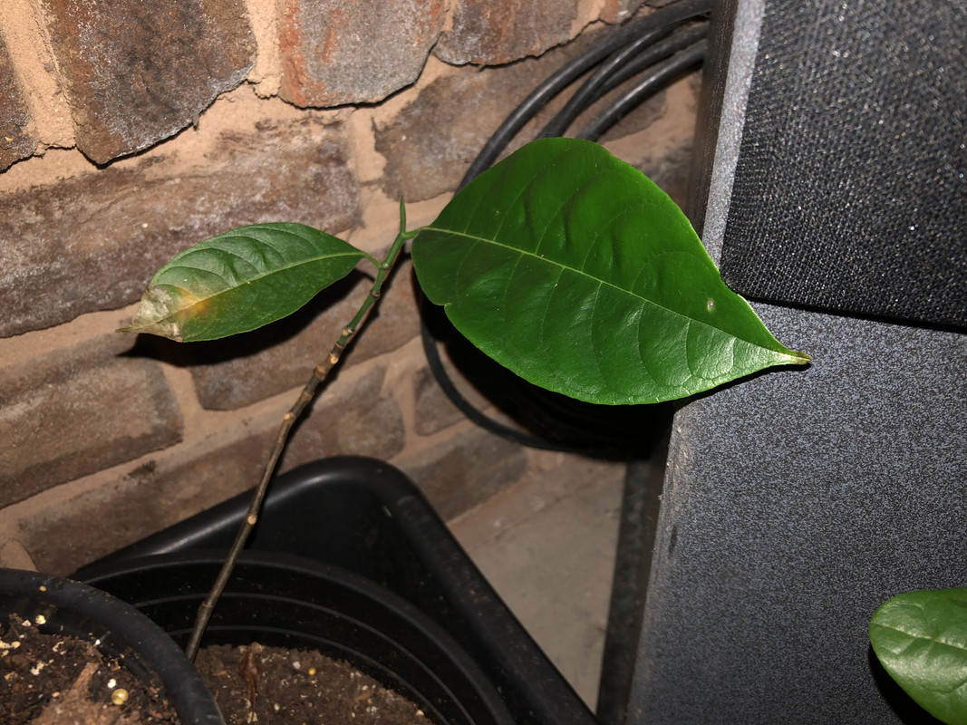 BC14A8E6-195D-44D1-829F-E5C2A771A7E3