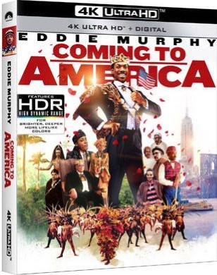 Il principe cerca moglie (1988) [BluRay Rip 2160p HEVC 10bit-HDR ITA-ENG AC3-SUBS]