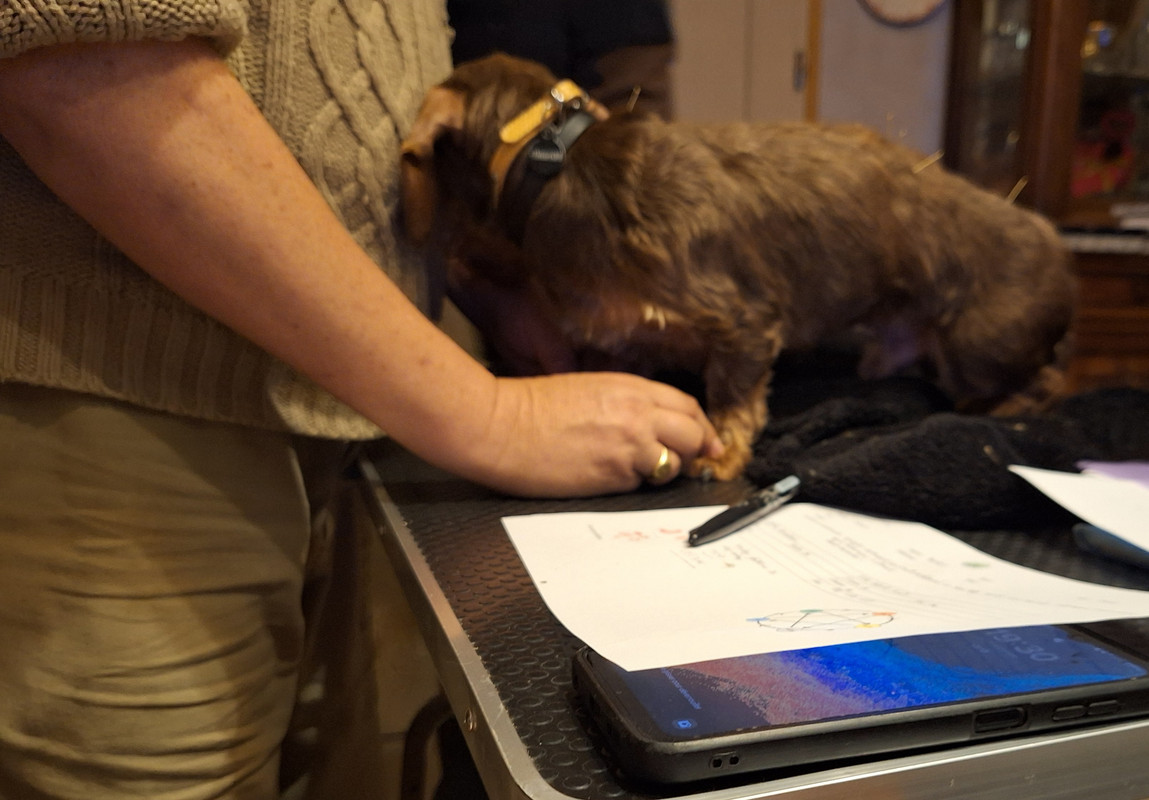 [Image: 20241107-193040.jpg]