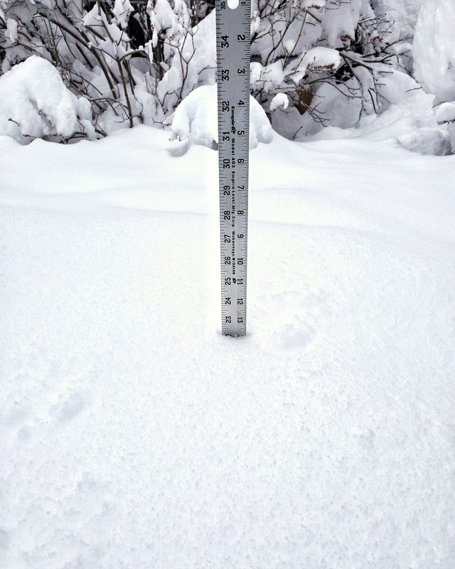 11 inches - 20240315_071922-01