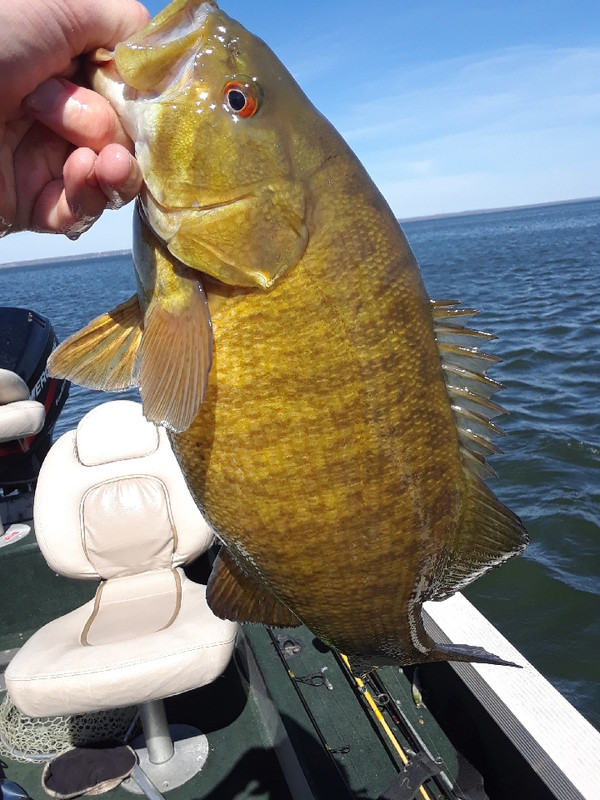 A2339F44-93A4-48F8-9937-15232CBD8F72