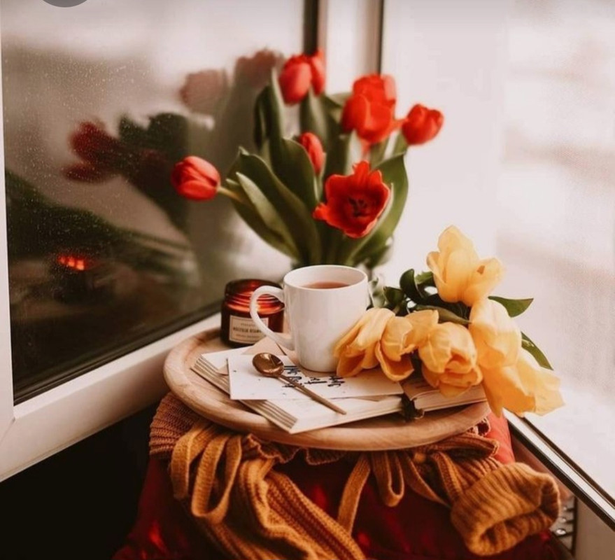 Screenshot_20230407_234422_Pinterest