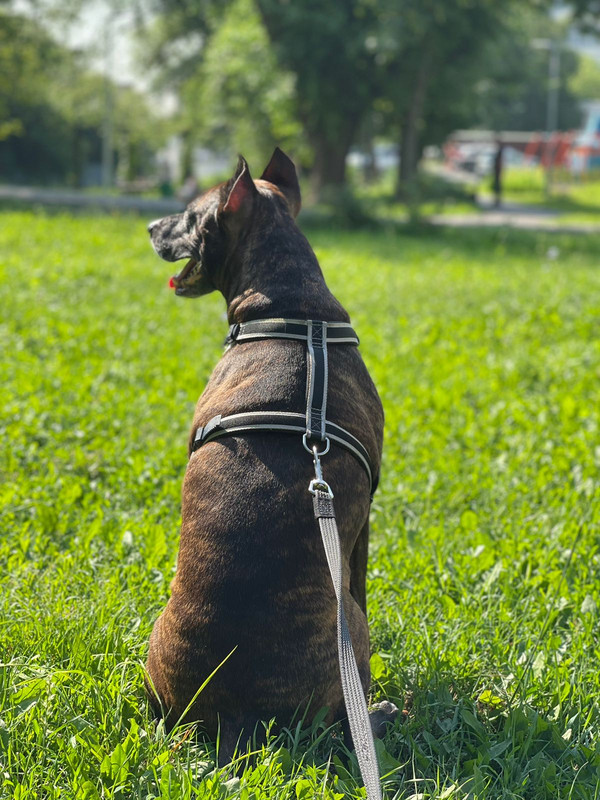 E85EB6FA-CECA-414D-886D-8A81A1A3B1A1