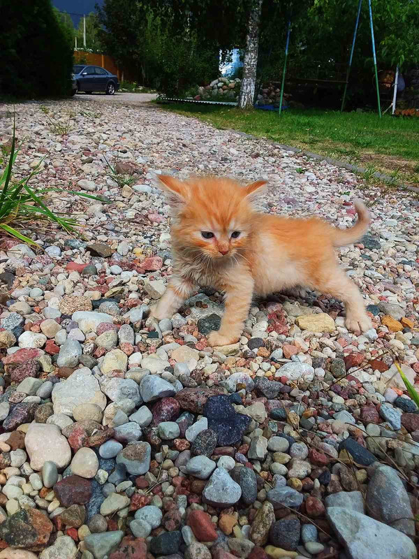 F2D024C4-B8A5-45BD-A701-A7E3A147235A