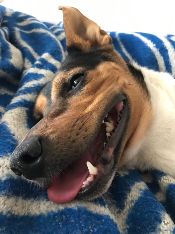 0E5B9B46-A827-46C3-B36A-B0AB931137A5