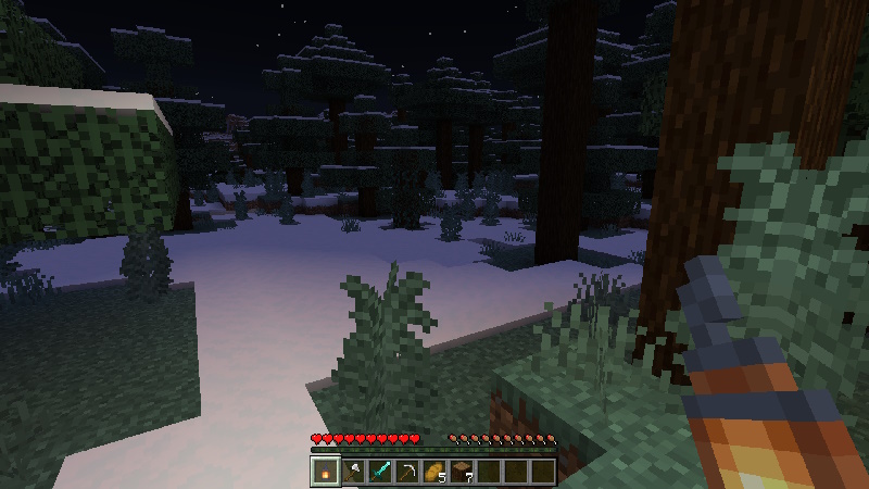 Image 5