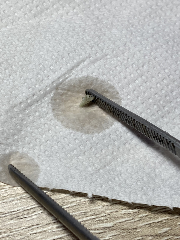 2E01FCA3-D2A2-44C1-8469-C1C5A3E66F91