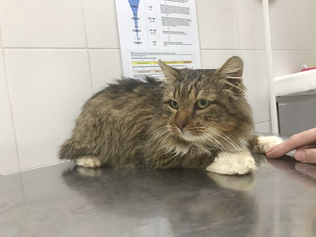 98E416D4-924C-4A29-814F-C3D13908CF08