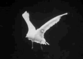 Escrime (1890)