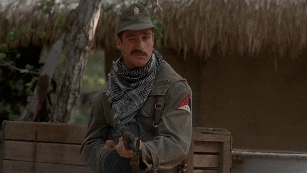 https://i.postimg.cc/Ssww9C8g/1.gif