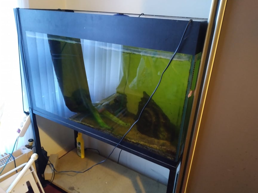 273477186_1093544301498195_473271811972401124_n