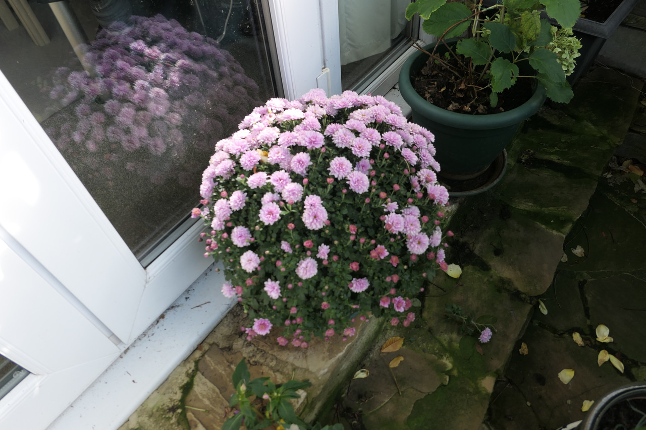 P1050251