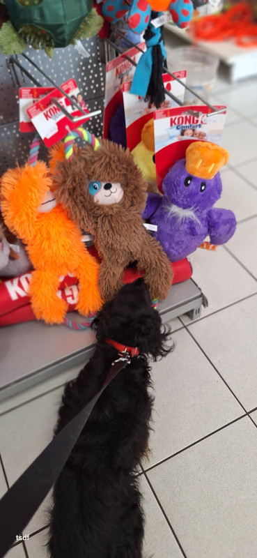 [Image: 20250317-160604.jpg]