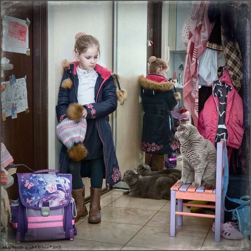 12294723-906622752737150-2701288826684691899-n