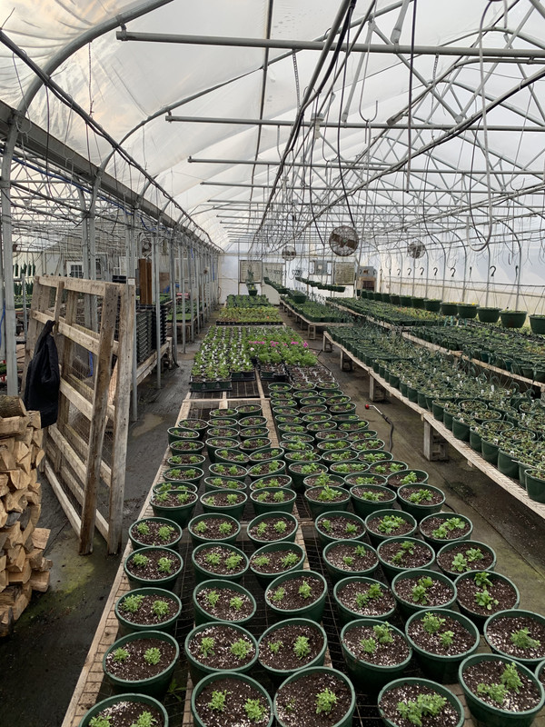 51CE0DE2-E391-4E14-A6F5-9F5B4A63D25A