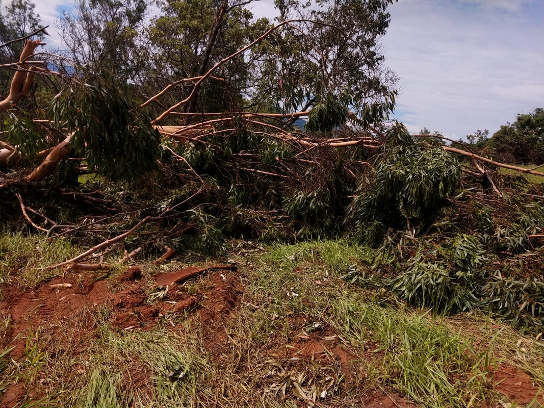 WhatsApp Image 2020-01-31 at 15.50.18 (7)