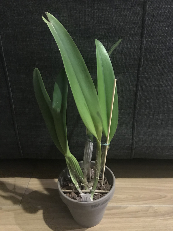 A7756DE5-969C-4BDD-BC18-F13CFA909061