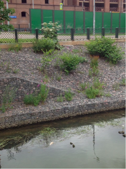 Снимок экрана 2018-07-03 в 17.29.11