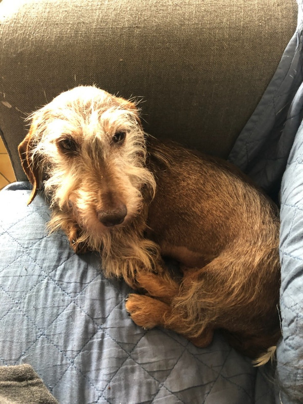 [Image: IMG-4028.jpg]