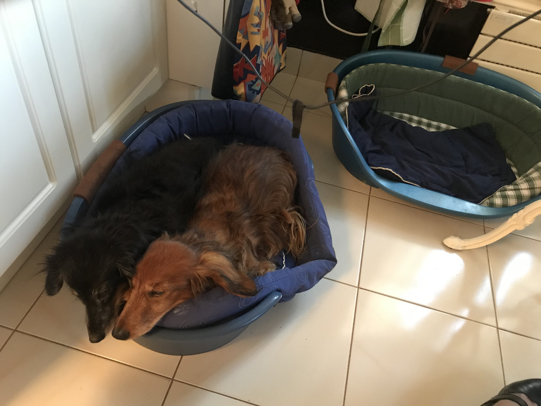 [Image: IMG-5279.jpg]