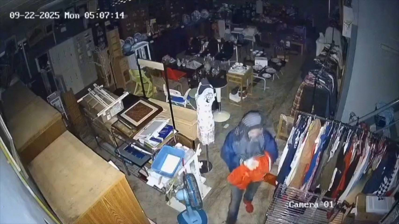 669181-0