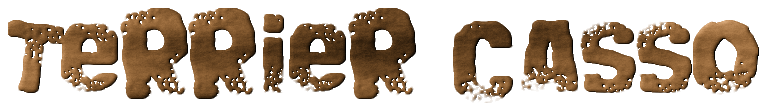 terrier-casso.png