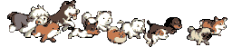 zxtg