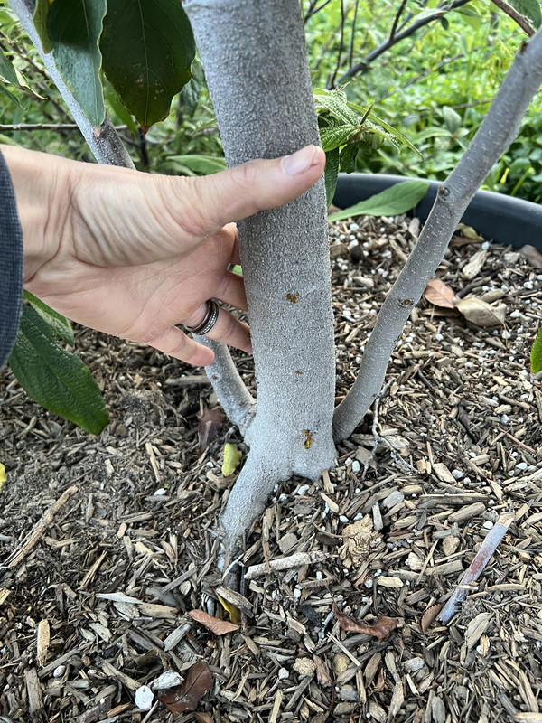 2705A8C6-C296-470A-87B6-E63C90F0661F