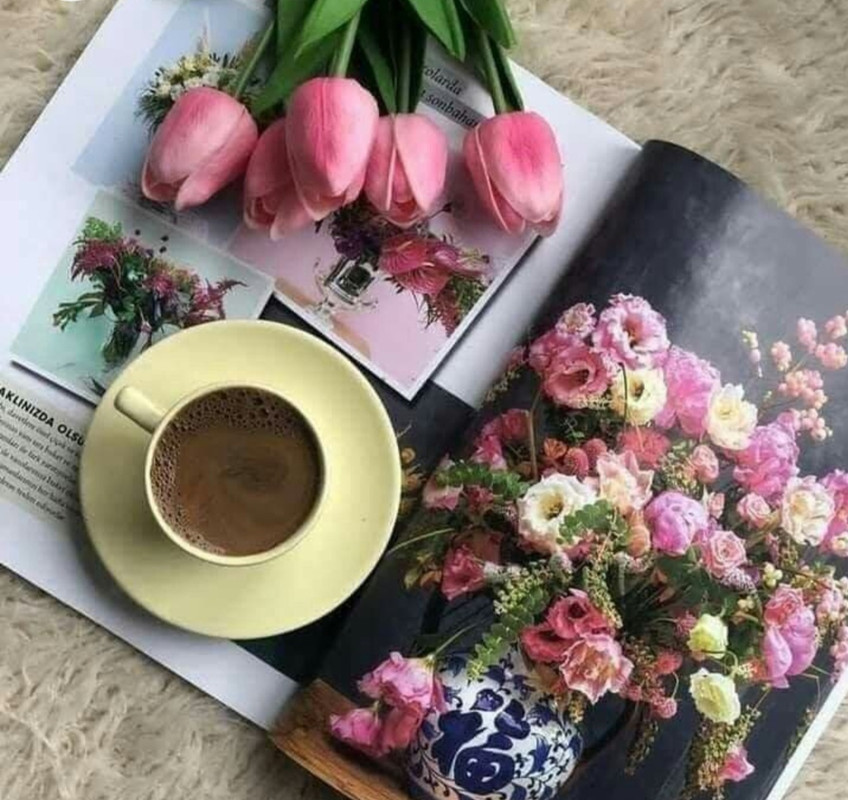 Screenshot_20221213-210349_Chrome