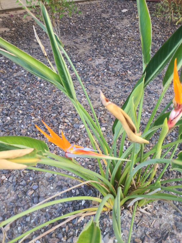 20191110_130145