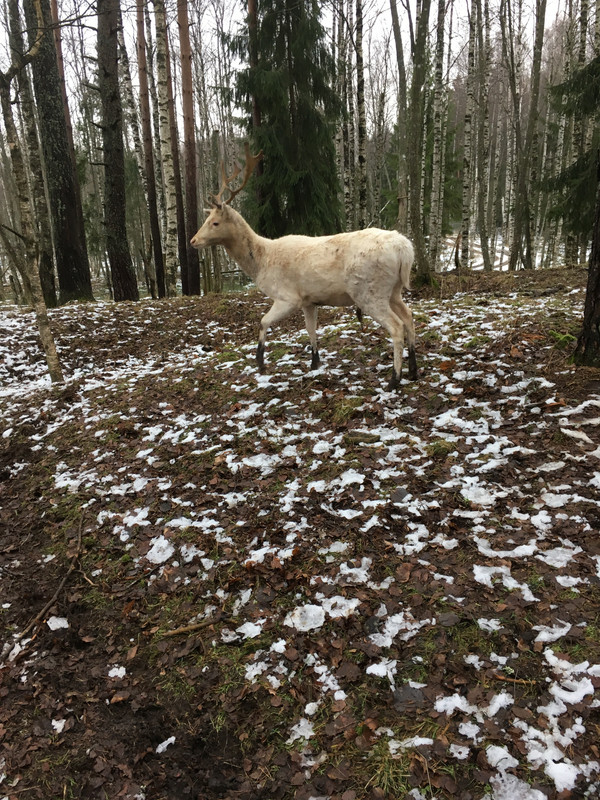 0E92FCA7-9853-40F2-8D2B-CD4D4FADA7E6